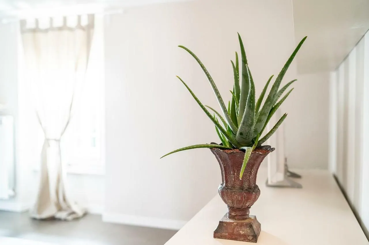 Aparthotel L'Angelica Holiday Home Desenzano del Garda